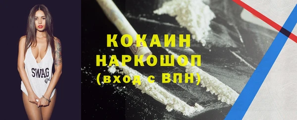 прущий лед Алзамай