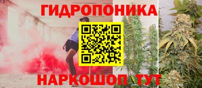стаф Гагарин