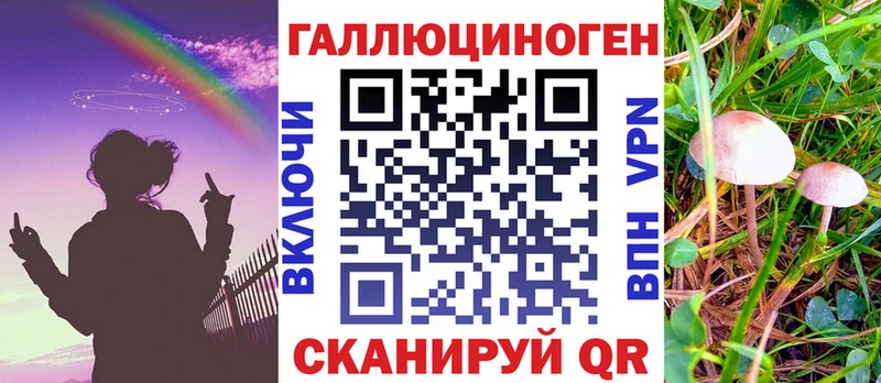 купить   Прохладный  Галлюциногенные грибы мухоморы 